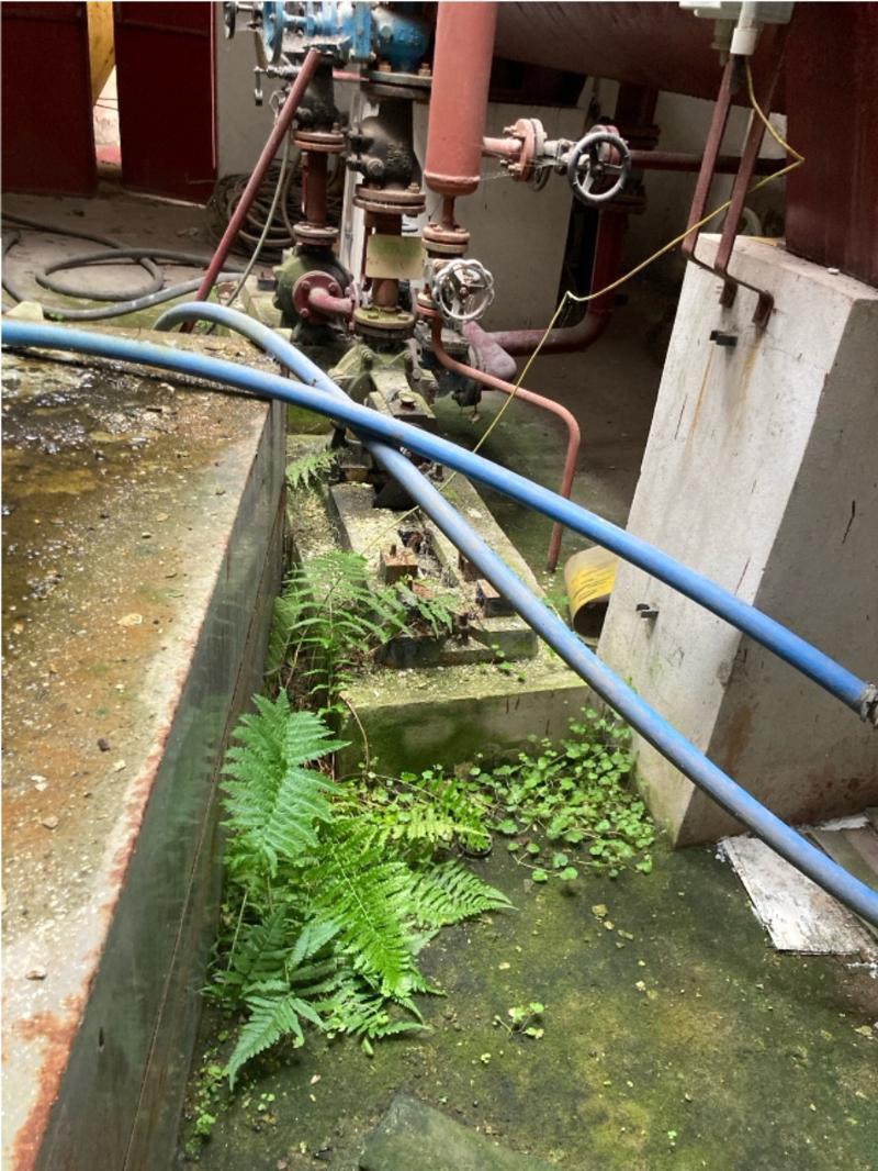 Příběh rekonstrukce továrny Vonwiller 